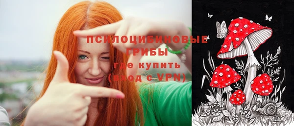 PSILOCYBIN Абдулино