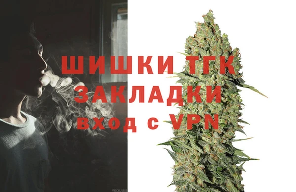дмт Алексин