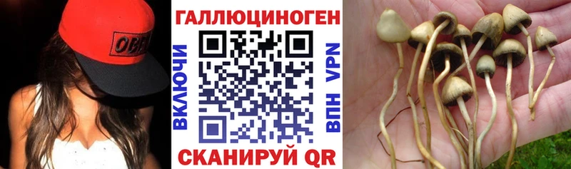 Галлюциногенные грибы мухоморы Константиновск